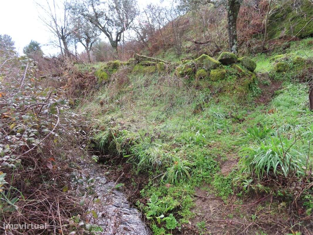 Quinta  para venda - Grande imagem: 4/35