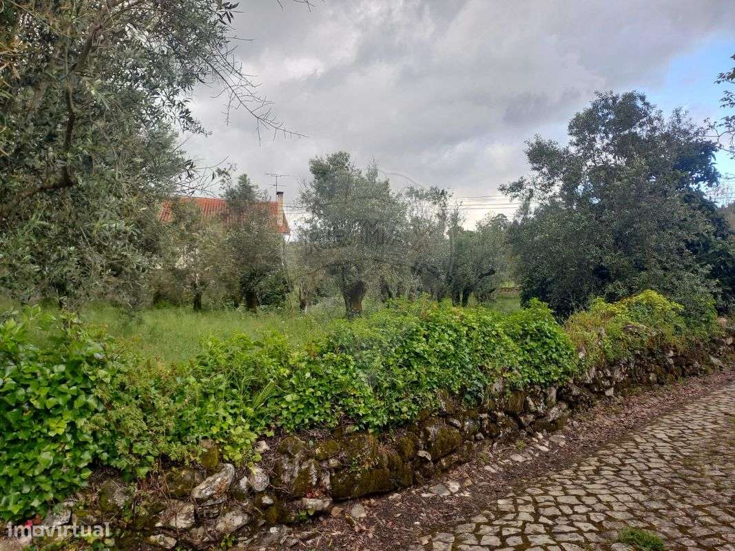 Terreno  para venda - Grande imagem: 3/3