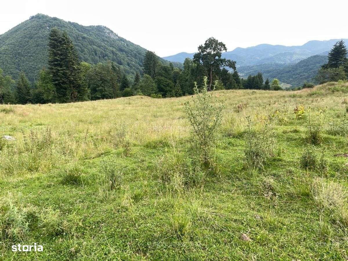 Teren Rasnov inntravilan PUZ) zona Parau Rece - Imagine principală: 4/15