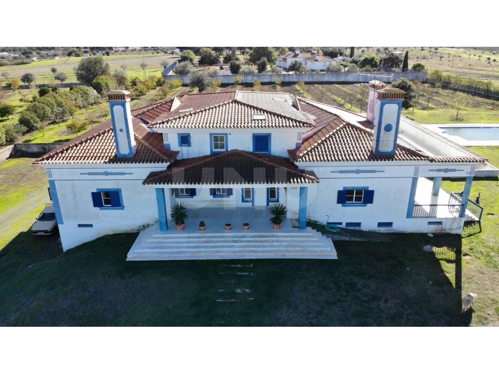 Quinta com 4,8 hectares e casa T9 em Vila Nova da Baronia-9