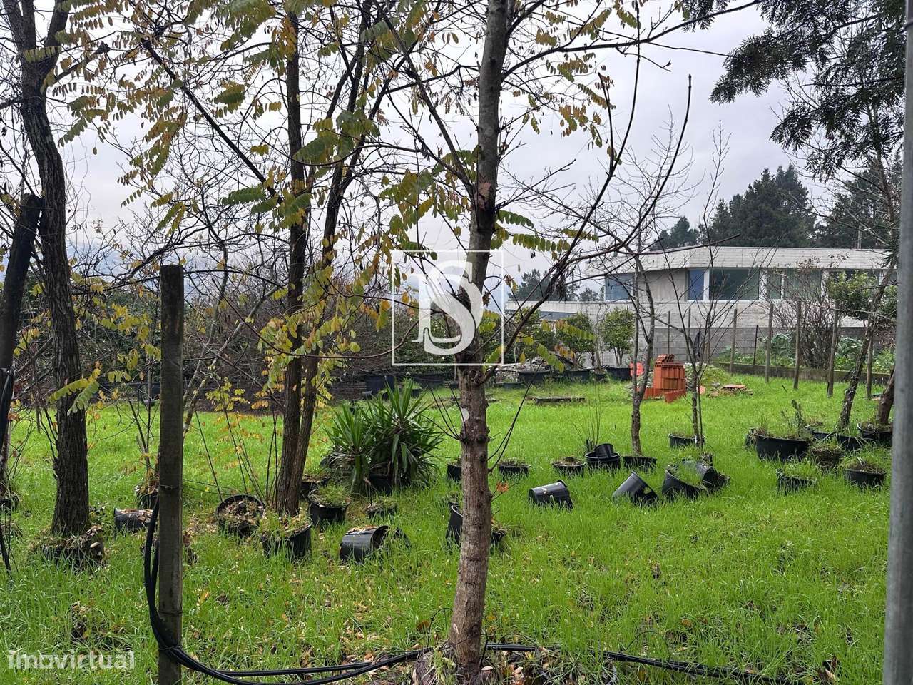 Moradia para Restauro com Terreno - Cepelos Amarante-13