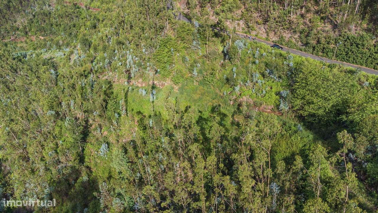 Terreno de 120.000m² com Potencial Agrícola - Campanário - Grande imagem: 2/11