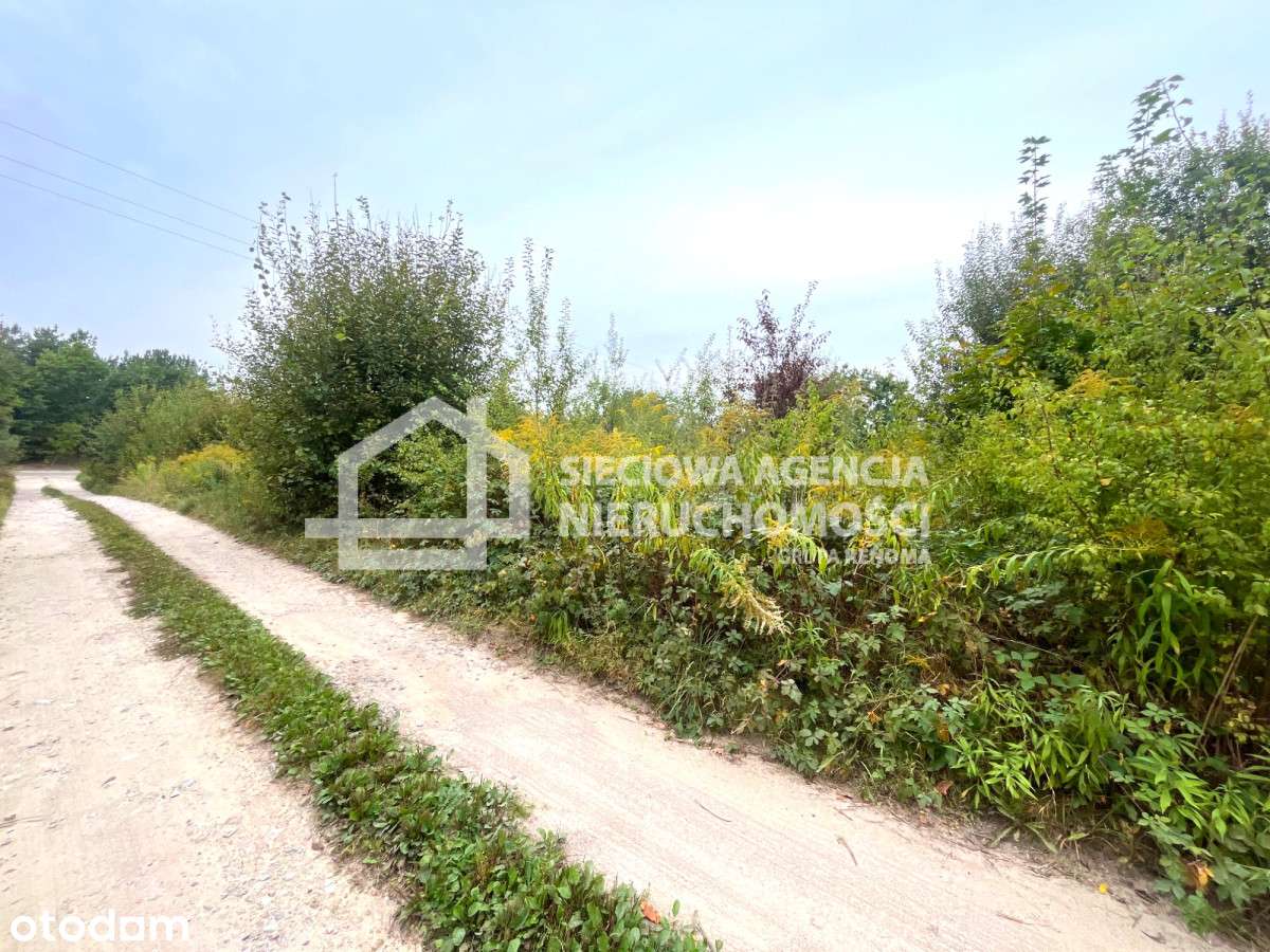 Niestępowo ul. Akacjowa działka na sprzedaż. - Pełny obrazek: 5/5