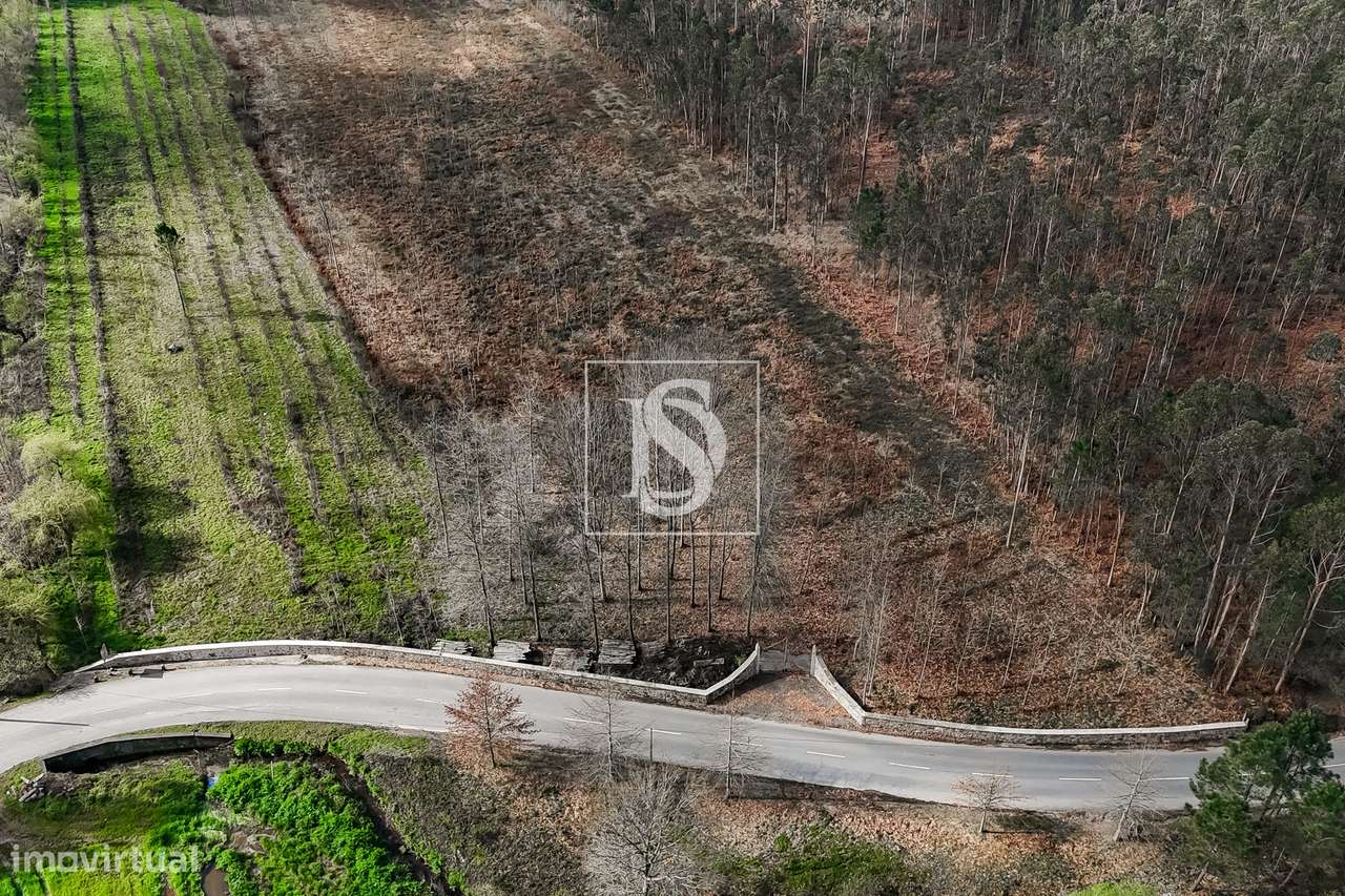 Terreno Rústico  Venda em Associação de freguesias do Vale do Neiva,Po-16