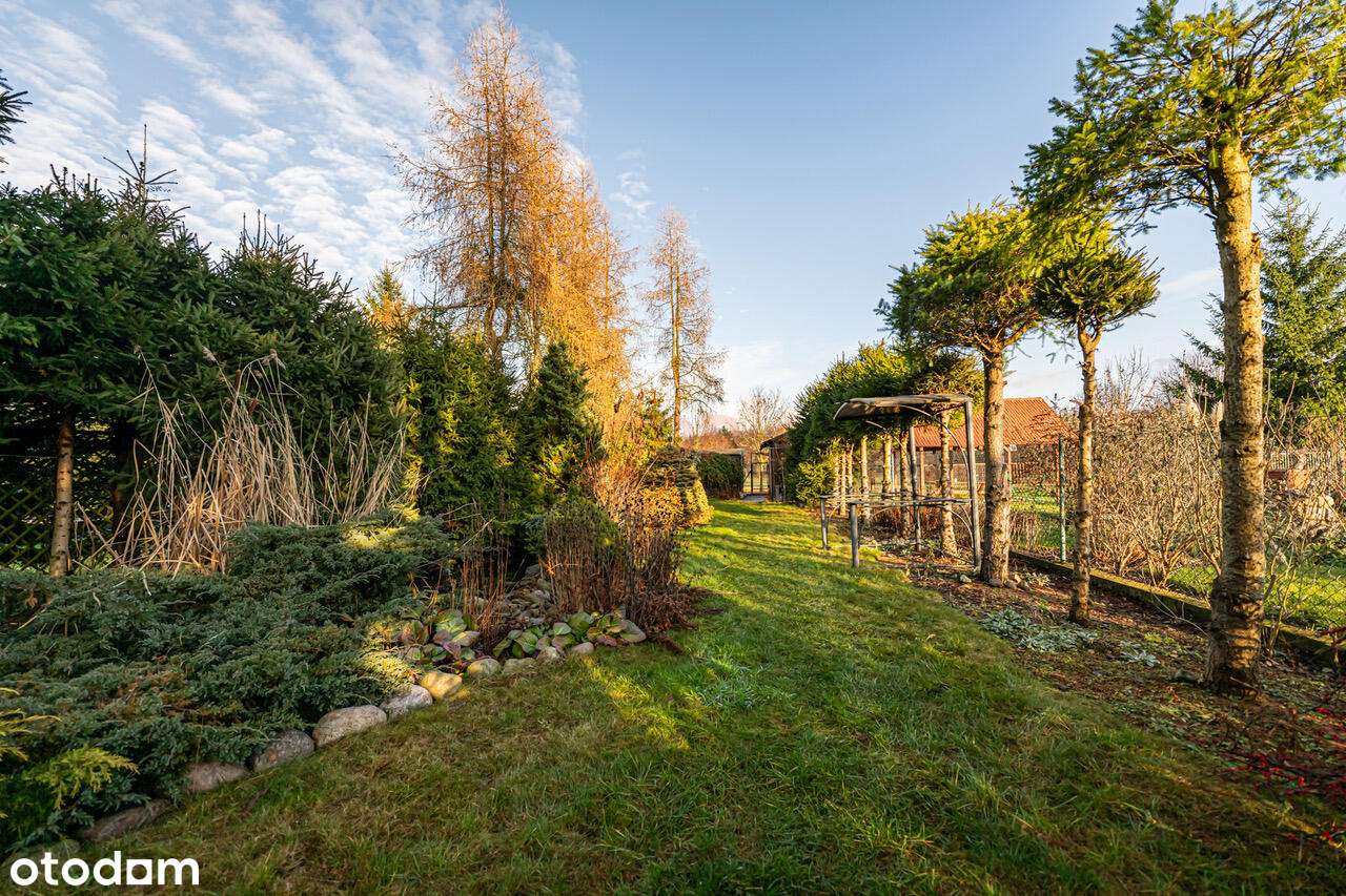 Przestronny dom w rodzinnej, zielonej okolicy - Pełny obrazek: 3/20