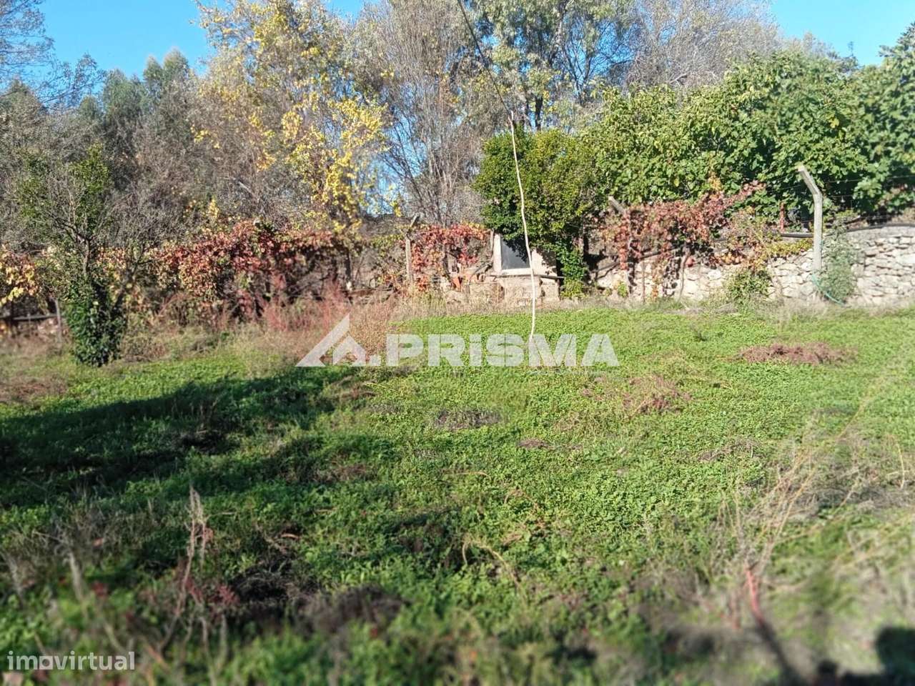 Quintinha para venda com construção rural para venda em Escalos de Bai-7