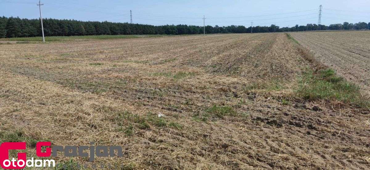 Działka rolna w okolica Obornik! - Pełny obrazek: 4/5