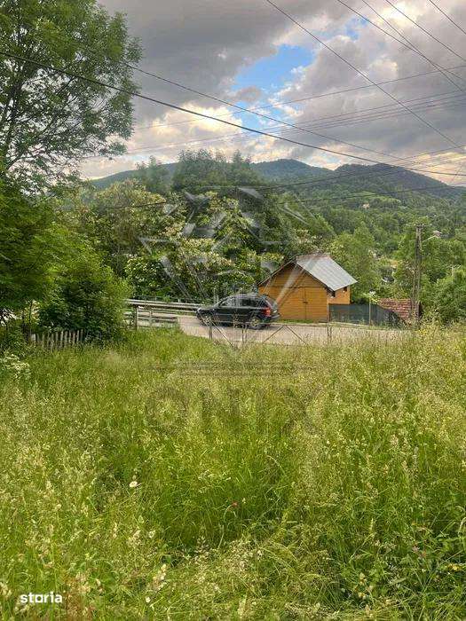 TEREN DE VANZARE VALEA DOFTANEI-5