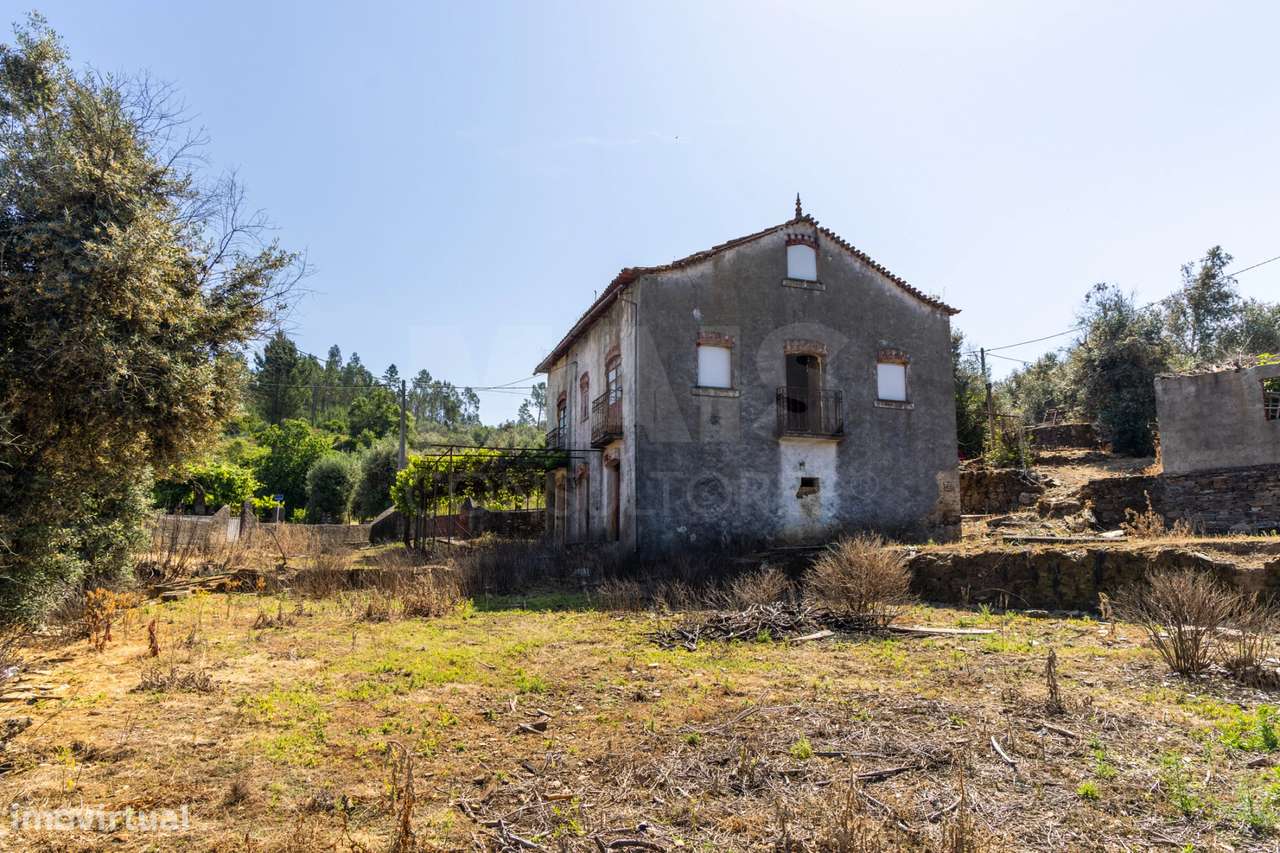 PROPRIEDADE DE CARÁTER NA N2 | 400 m² DE CONSTRUÇÃO, OLIVAL E POTEN...-19