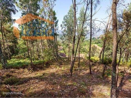 Casa de campo, para venda, Cinfães - Santiago de Piães - Grande imagem: 4/17