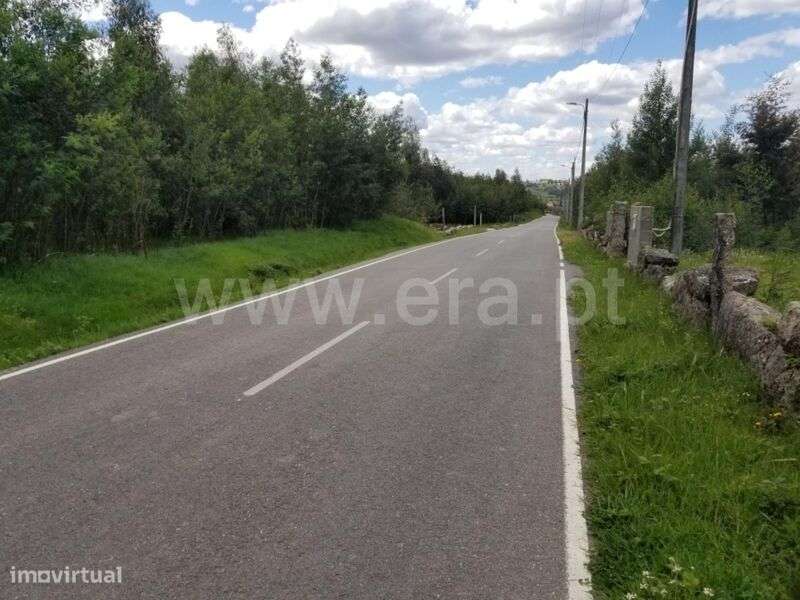 Terreno / Gouveia, Moimenta da Serra e Vinhó - Grande imagem: 5/6