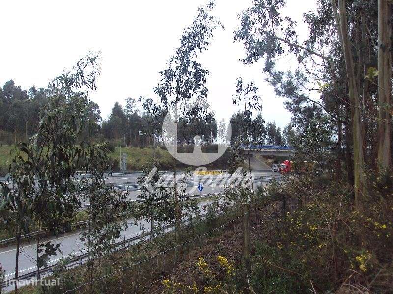Terreno Florestal de 2.600m2 em Touguinha - Vila do Conde - Grande imagem: 1/4