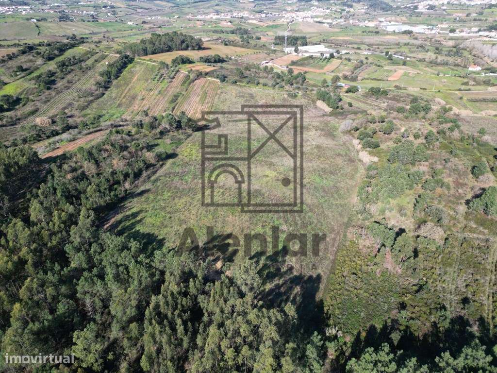 Excelente Terreno para Construir a Sua Quintinha de Sonho! - Grande imagem: 4/8