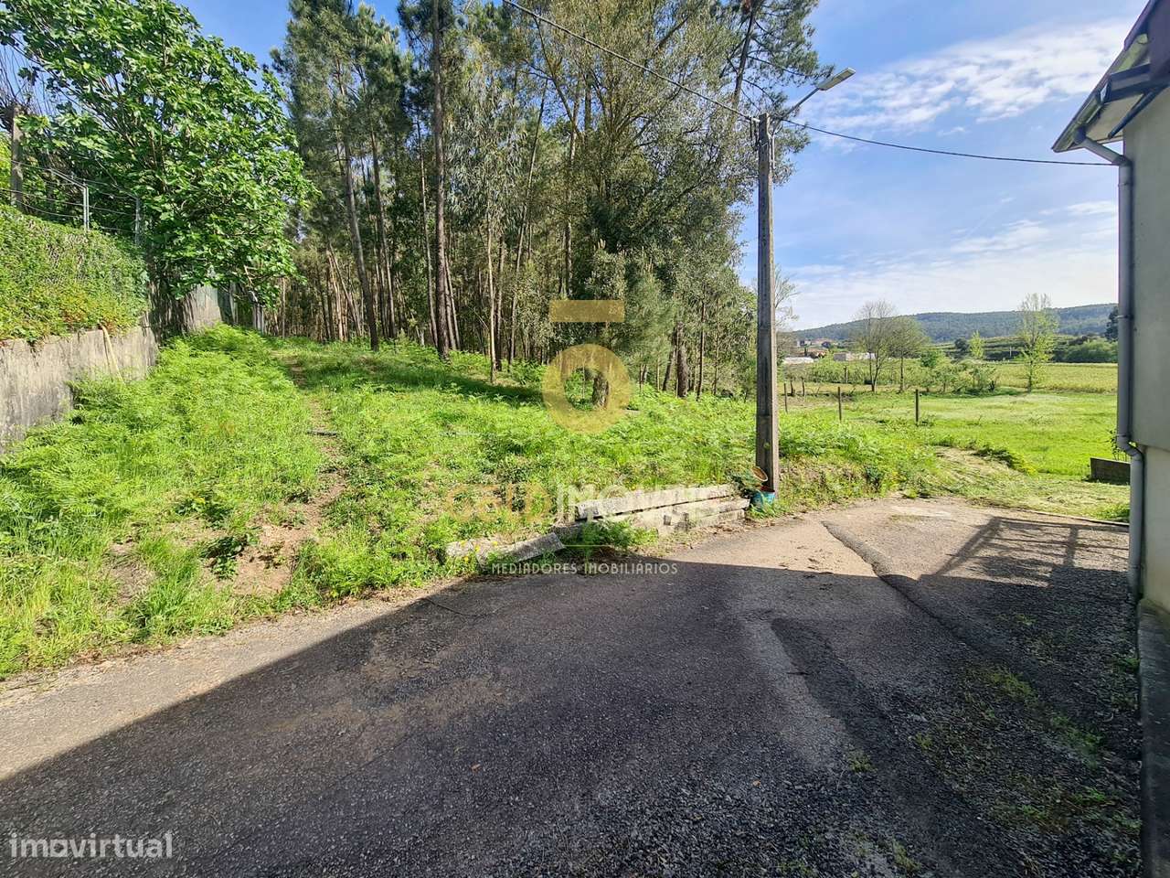 Terreno Rústico  Venda em Canedo, Vale e Vila Maior,Santa Maria da Fei - Grande imagem: 4/13