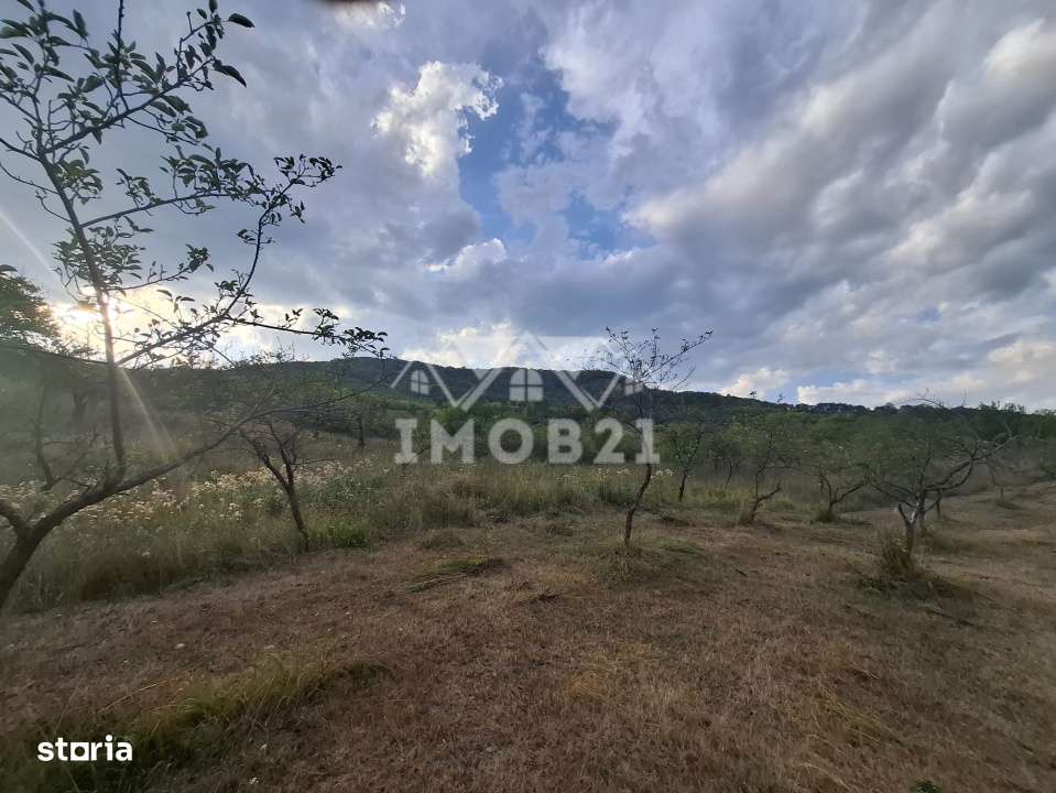 Teren spectaculos cu padure, livada si priveliste panoramica in Soimar-7