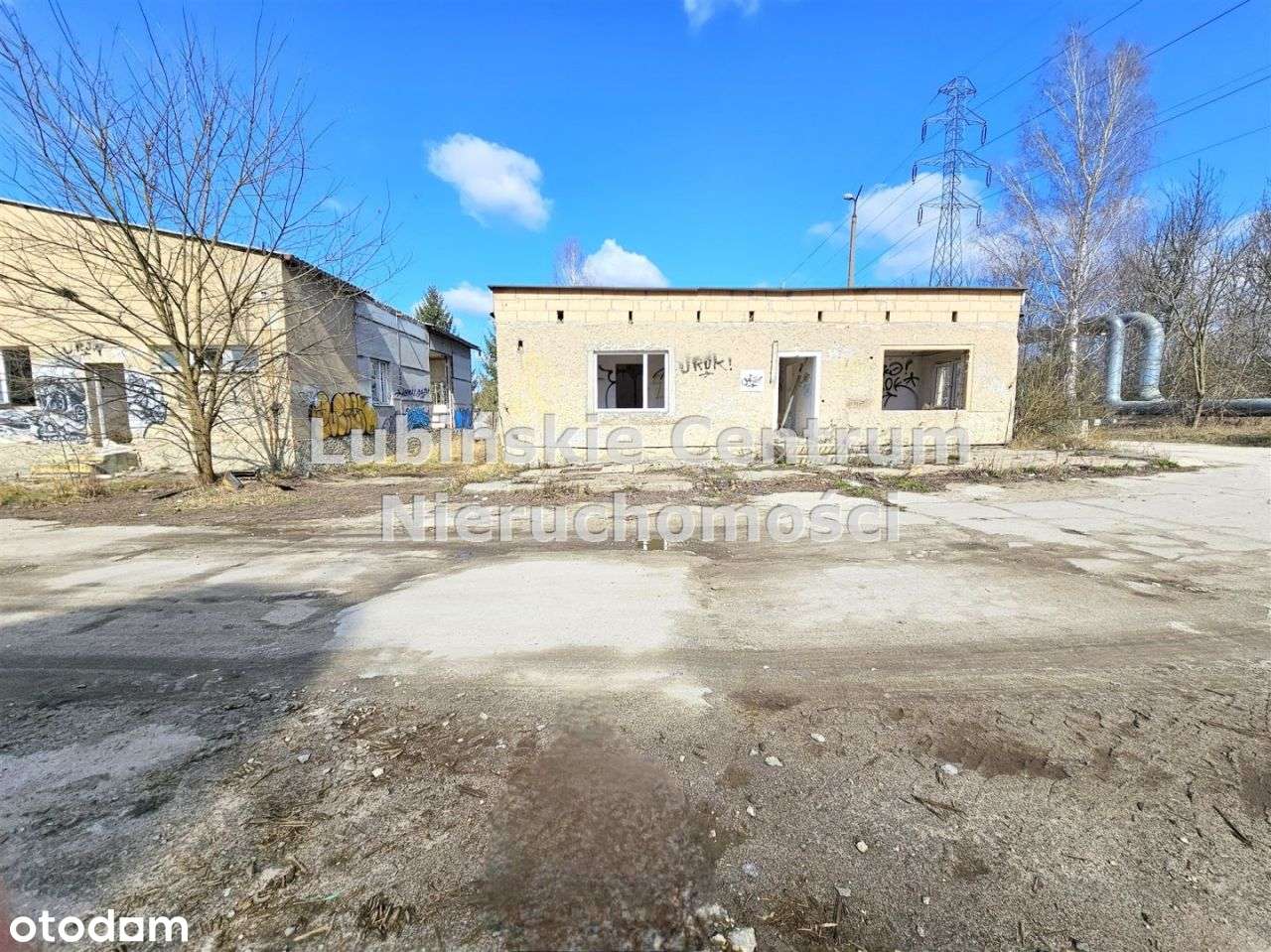 Działka, 11 000 m², Lubin - Pełny obrazek: 5/5