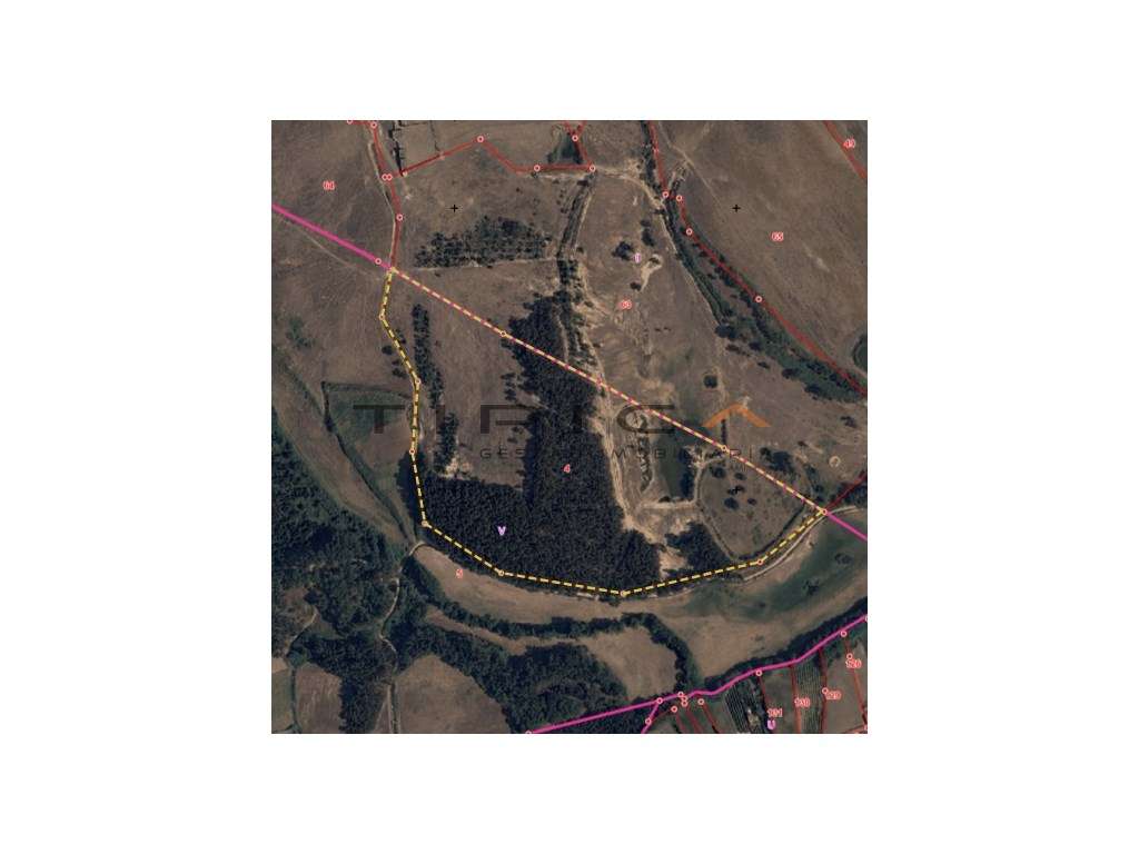 Terreno para indústria extrativa - Grande imagem: 5/7