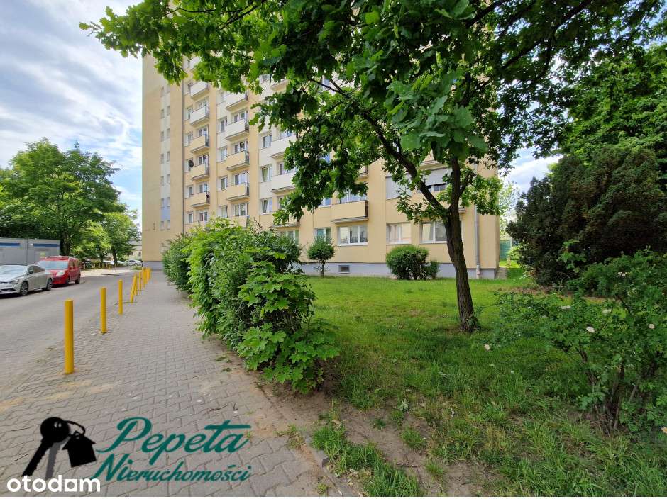 Dwupokojowe mieszkanie z potencjałem na poznańskim Boninie! 25/DP/19