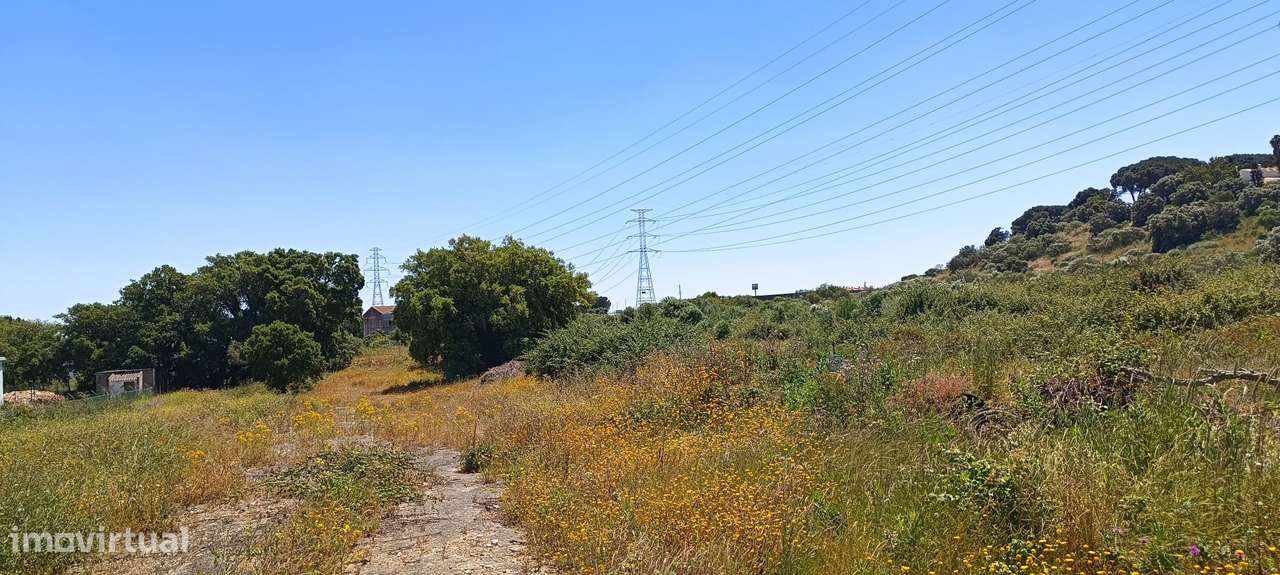 Terreno Rústico – Palmela-15