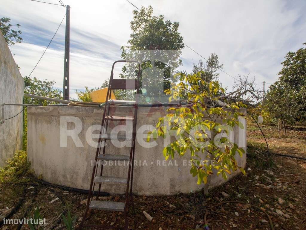 Moradia com 1. 556 hectares com furo e água da rede-11