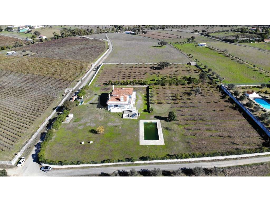 Quinta com 4,8 hectares e casa T9 em Vila Nova da Baronia-7