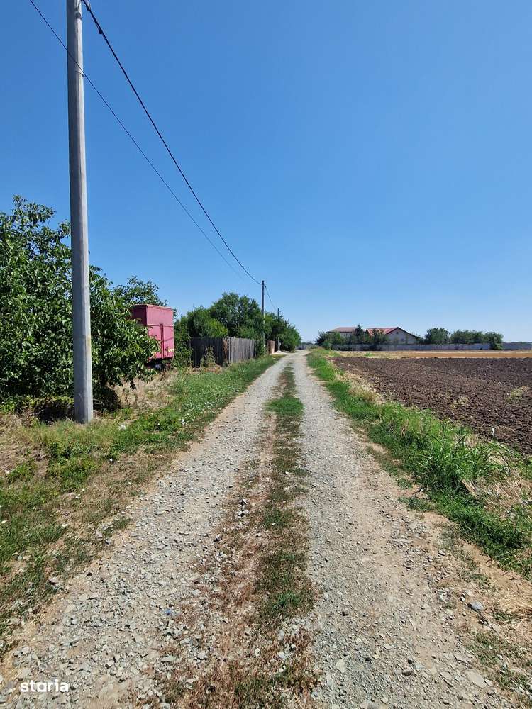 Teren intravilan vanzare Fundulea, Calarasi - Imagine principală: 4/7