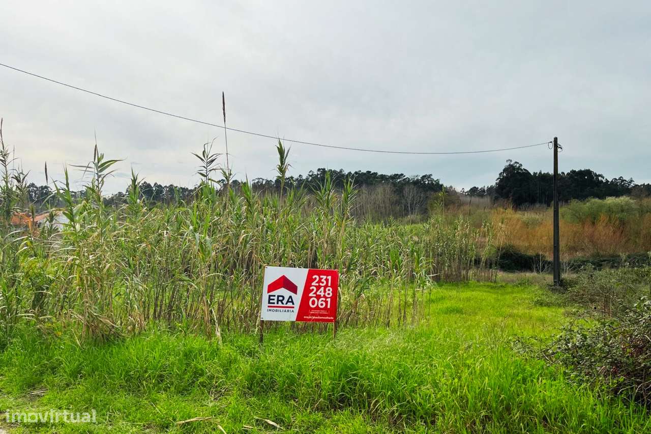 Terreno com viabilidade de construção - Grande imagem: 5/8