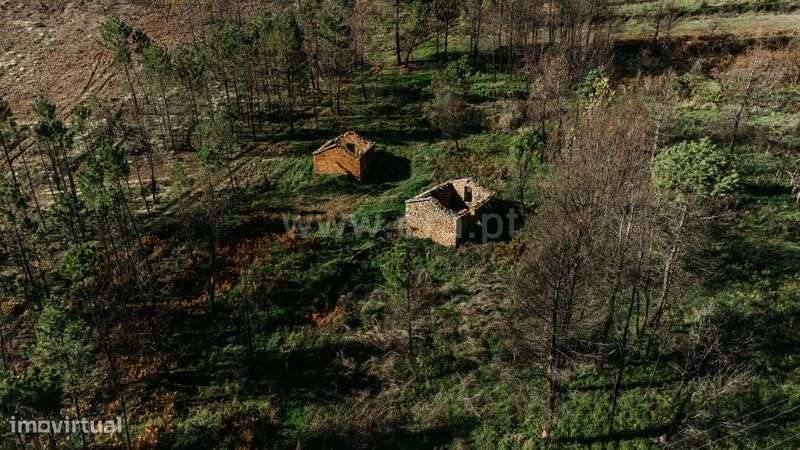Moradia T1 / Covilhã, Serra da Estrela - Grande imagem: 5/15