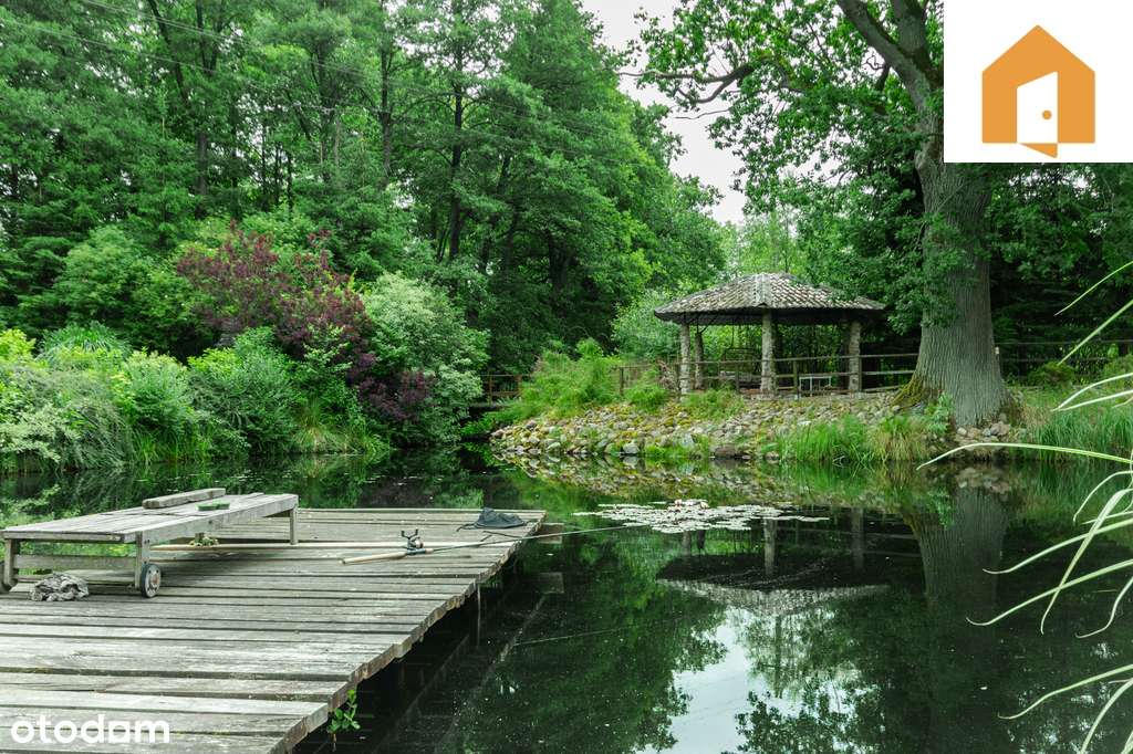 Dominikowo | własny staw | las | jezioro - Pełny obrazek: 5/20