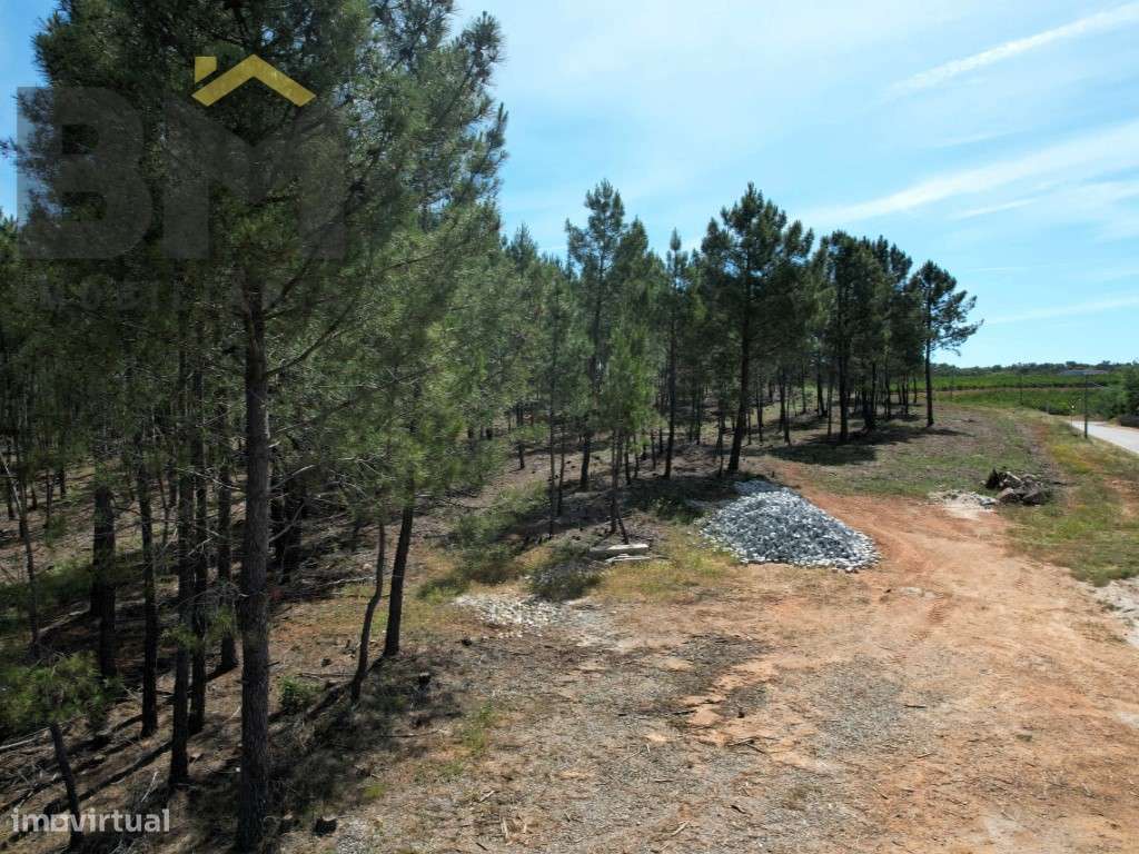 O Seu Próximo Grande Projeto Começa Aqui: 7.6 Hectares na Fatela co...-7