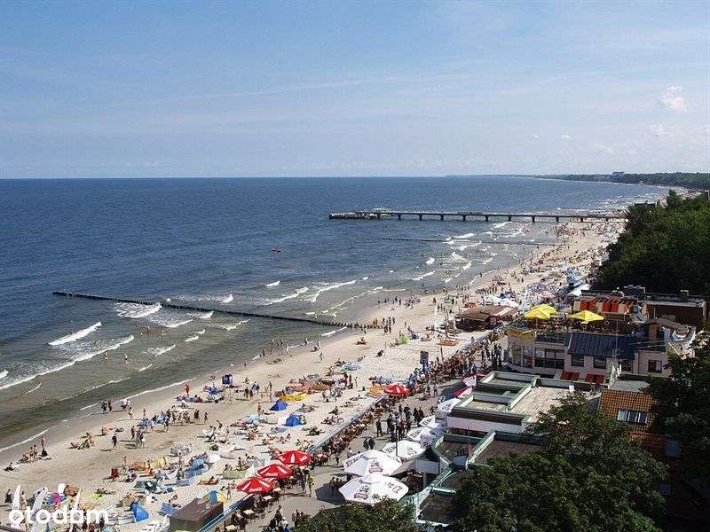 Działka inwestycyjna z potencjałem Nowa Cena-2