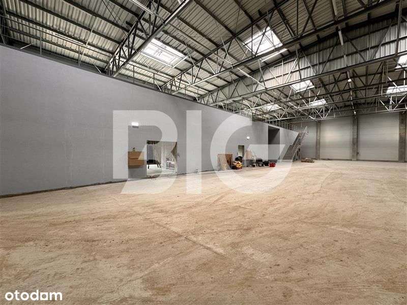 Nowy magazyn, hala produkcyjna, świetna lokalizacj - Pełny obrazek: 5/8
