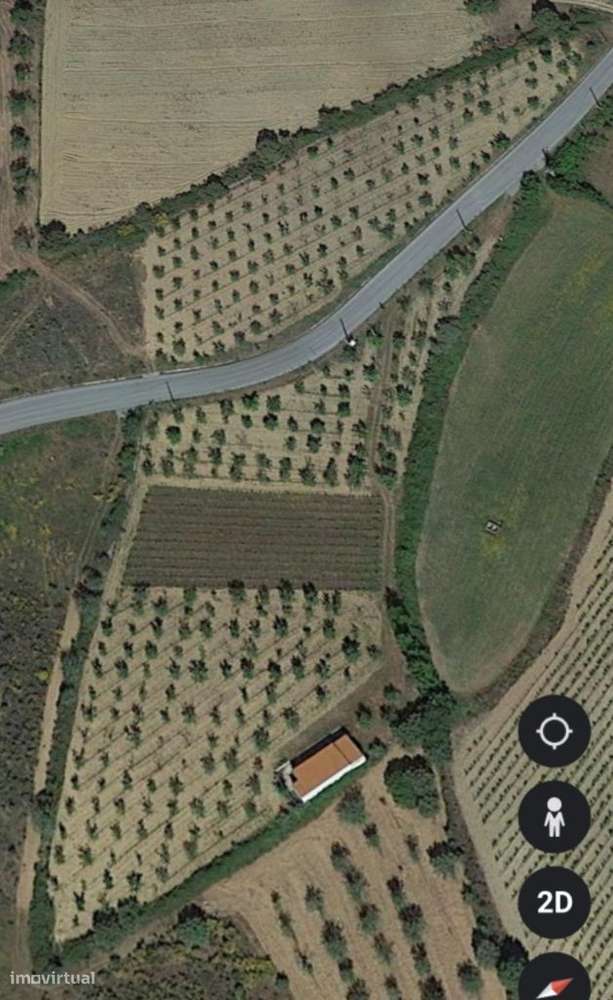 Vende Quinta em Foz Côa c/ 10.000m2 - Grande imagem: 5/5