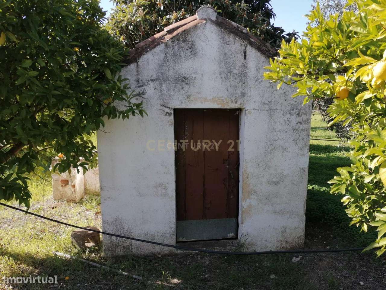 Quinta no Carapetal-20