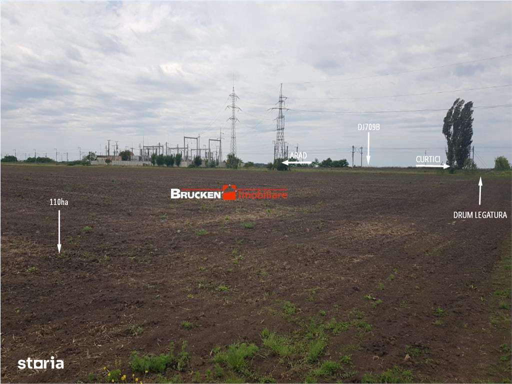 113,21 ha in nordul Aradului, la iesirea de pe drumul expres-6