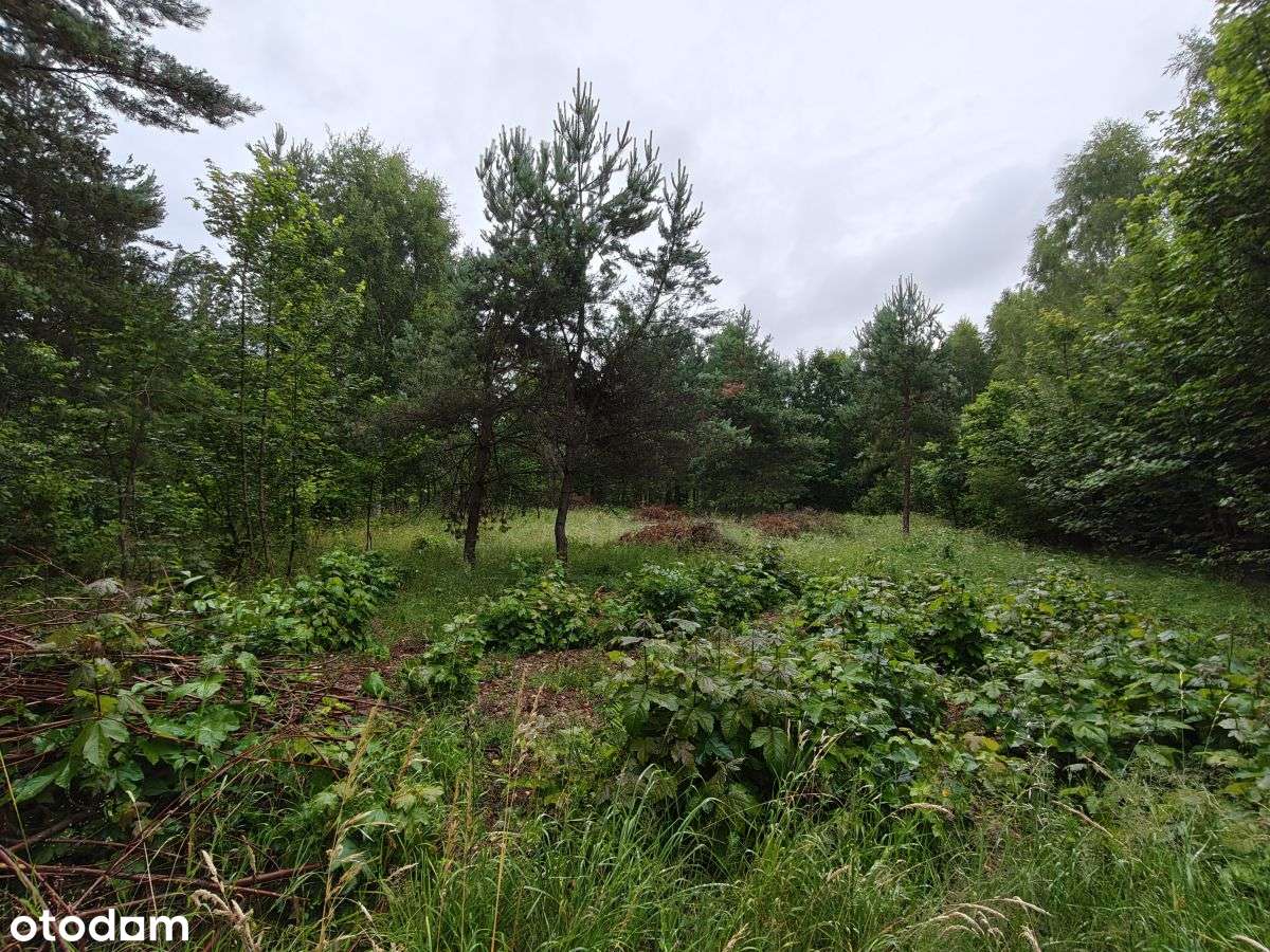 Działka budowlana Parchowski Młyn blisko jeziora.-7