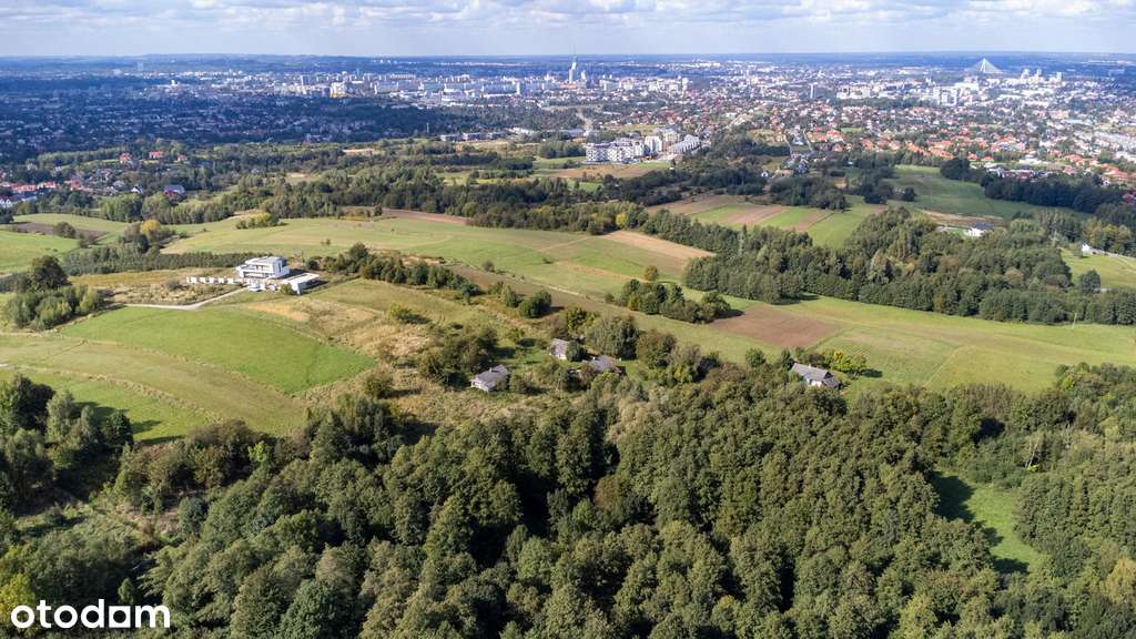 Widokowa działka z WZ - 7000m2 | Matysówka - Pełny obrazek: 5/14