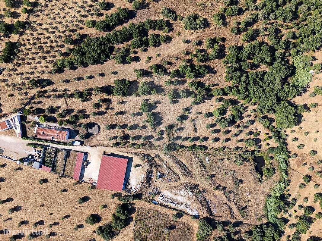 Quinta  para venda - Grande imagem: 2/21