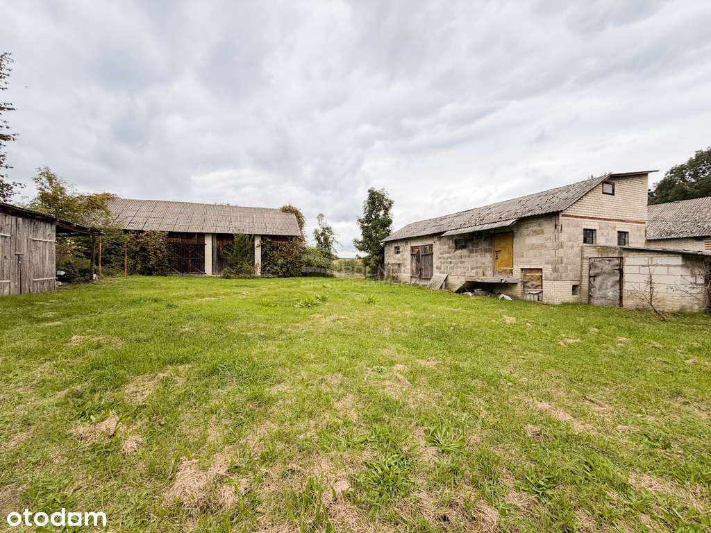 Dom 180m2 z działką 2ha Siennica Królewska Mała - Pełny obrazek: 5/6