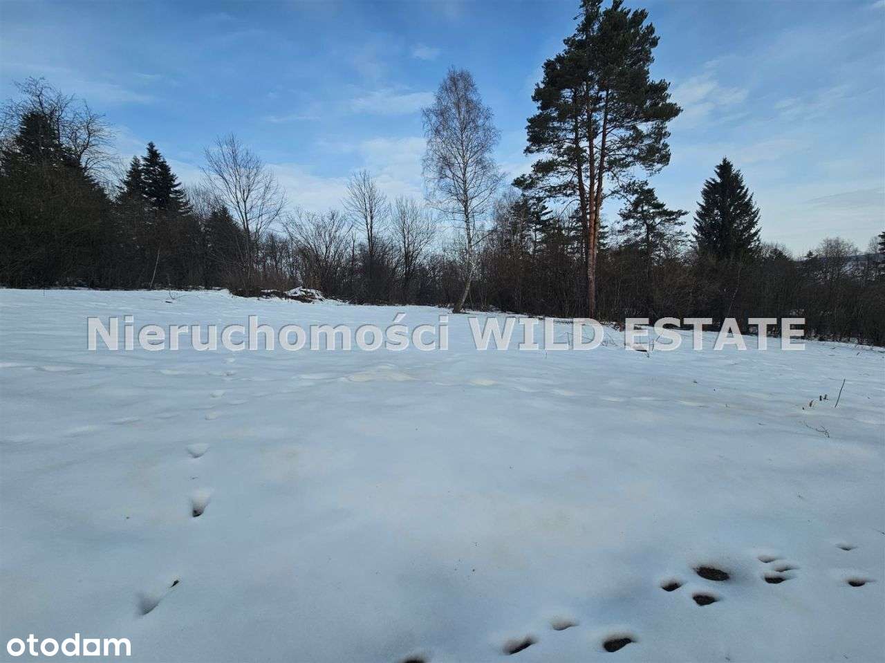 Działka, 1 015 m², Czarna Dolna-3