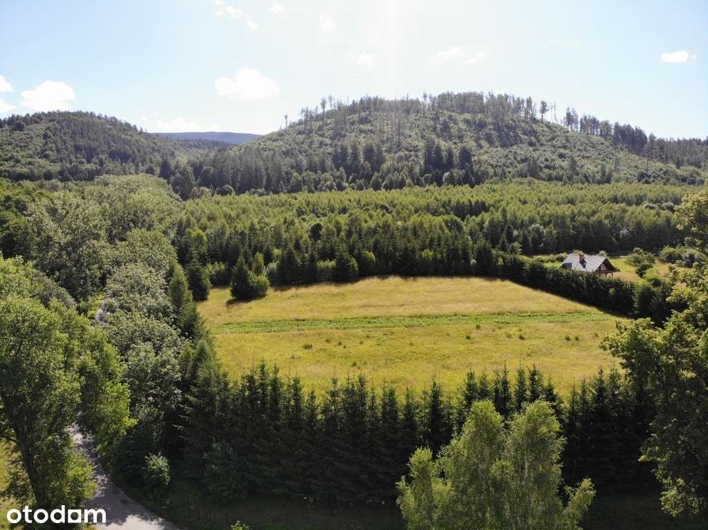 Nowa Wieś, piękna działka w górach! - Pełny obrazek: 5/7
