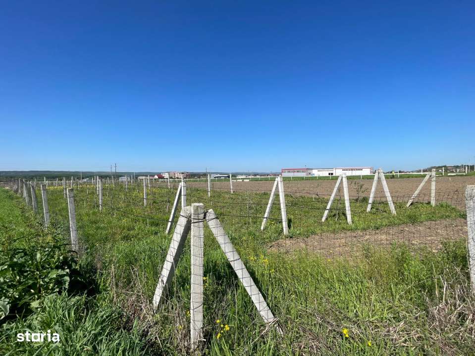 Teren intravilan agricol 6215mp cu utilitati in Racari, jud. Dolj - Imagine principală: 1/4