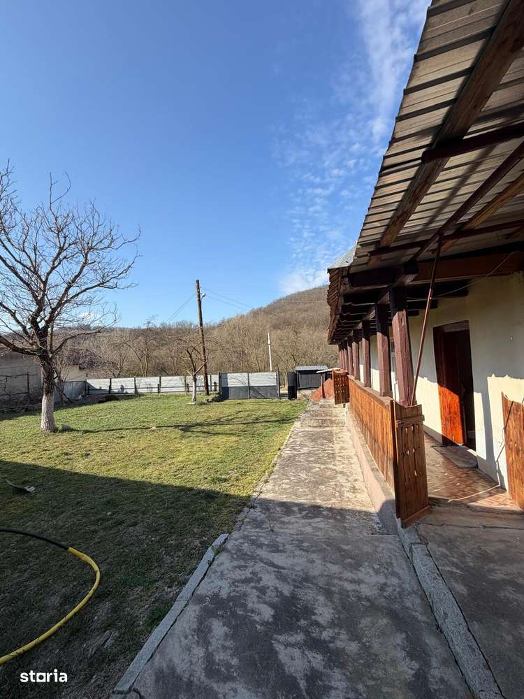 Comision 0% I Casa individuala I Teren de 3252 mp I Arghis-16