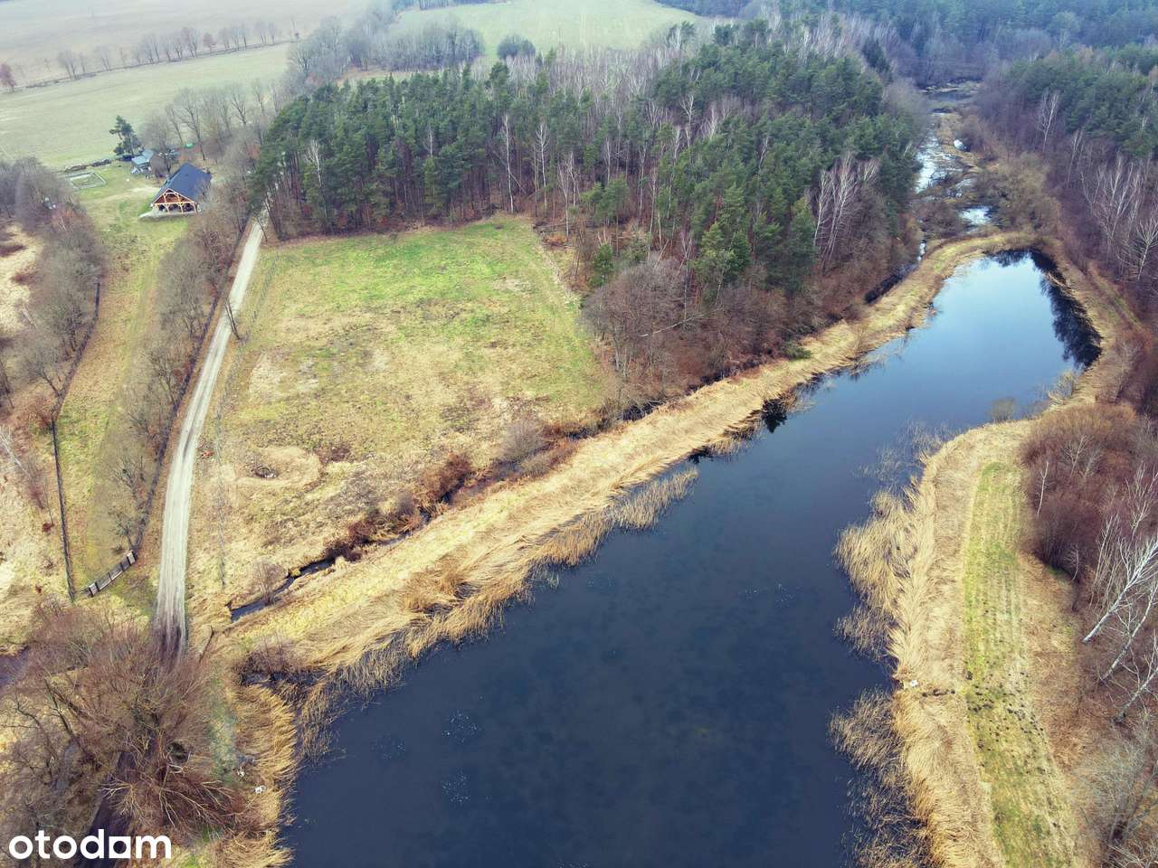 Zarybiony staw i działka pod kempingi - Pełny obrazek: 4/10