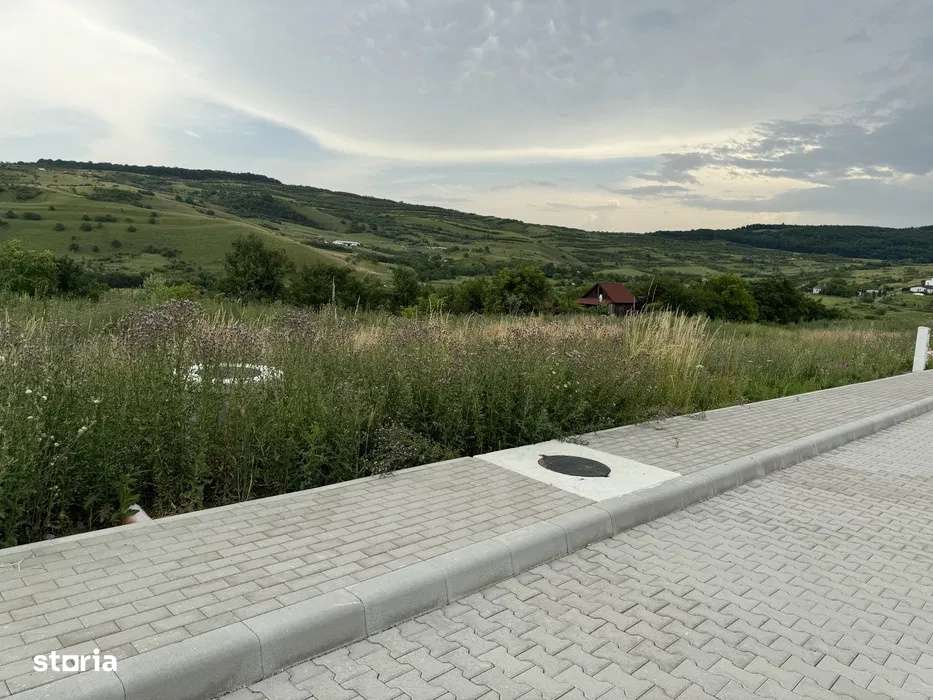 Teren de vanzare 803 mp cu AC in Borhanci, Colonia Sopor, Cluj - Imagine principală: 4/5