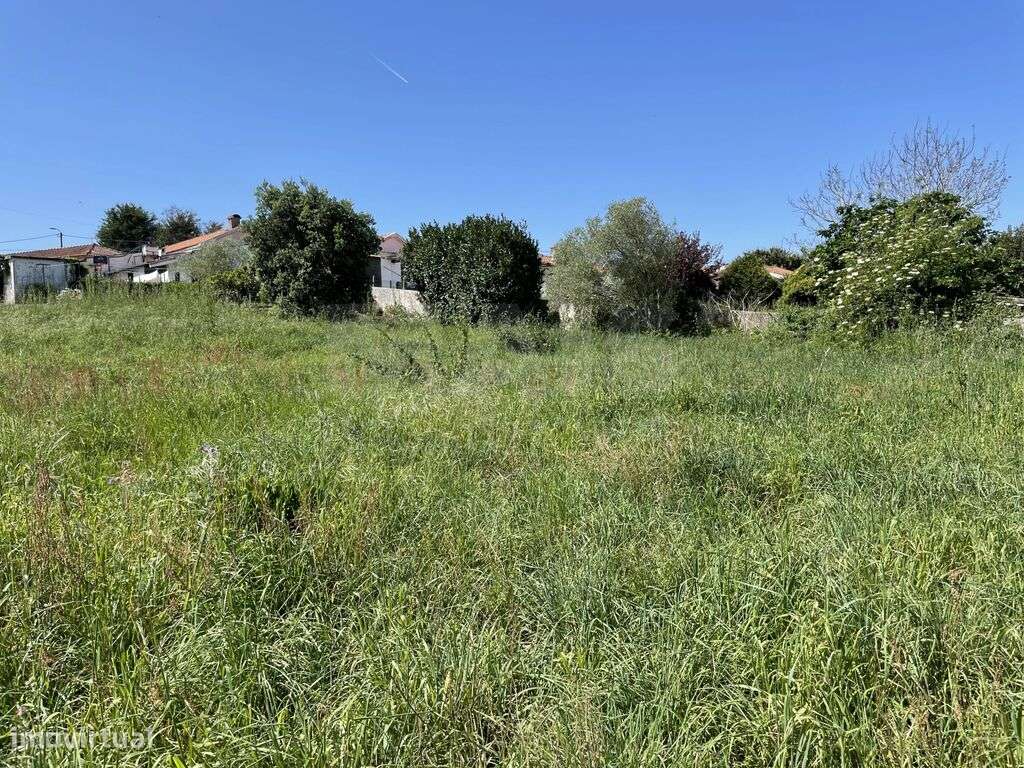 Terreno em São Félix da Matinha - Grande imagem: 5/13