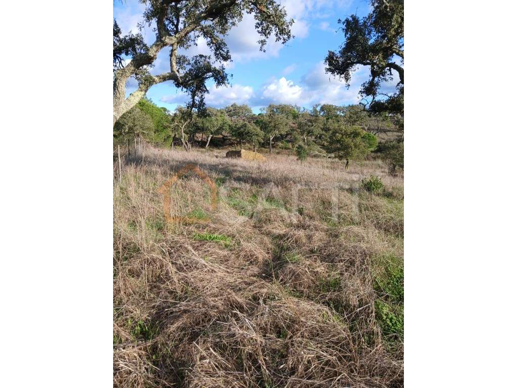 Vende-se terreno em Melides - Grande imagem: 4/5