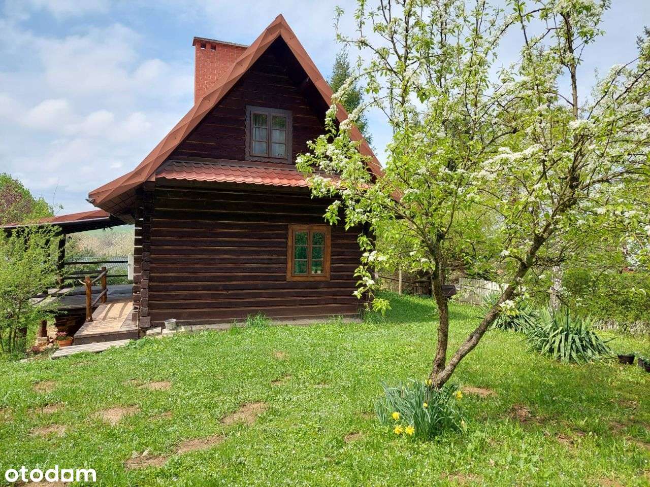 Bieszczady, Baligród, dom z bala obok lasu - Pełny obrazek: 5/20