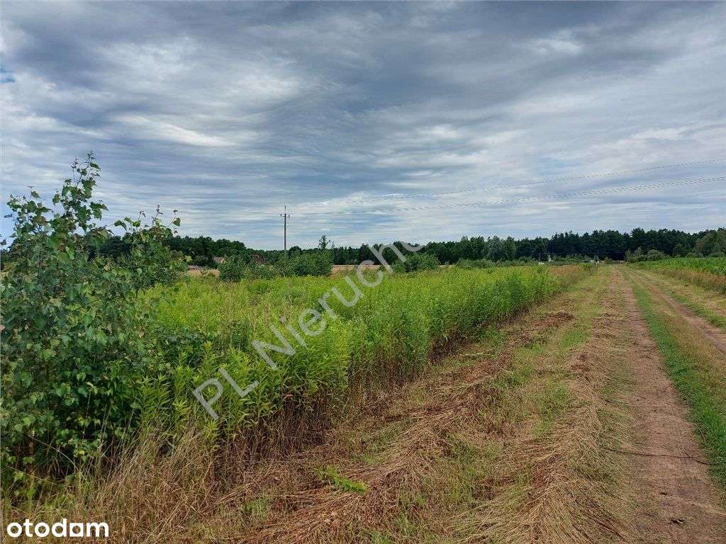 Działka Na Inwestycję - Pełny obrazek: 5/20