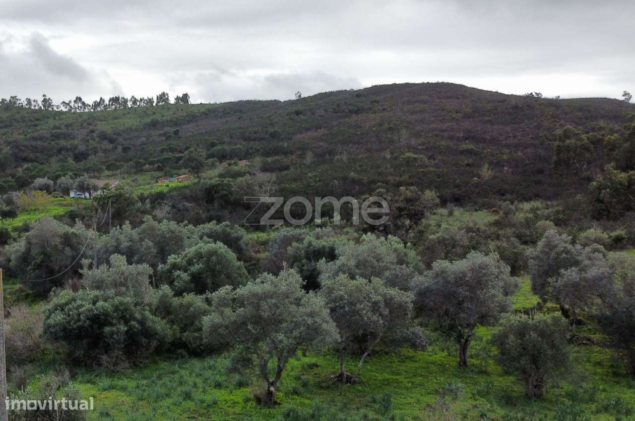 Terreno Rústico - MEXILHOEIRA GRANDE - Grande imagem: 2/25